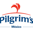 Pilgrims Pilgrims