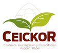 CEIKOR CEIKOR